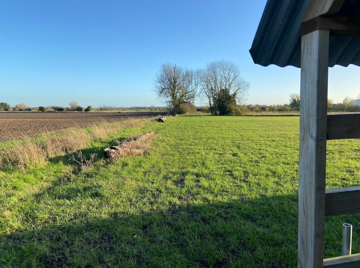 Fen Meadows Glamping - Luxury Cabins And Bell Tents Cambridge  Exterior photo