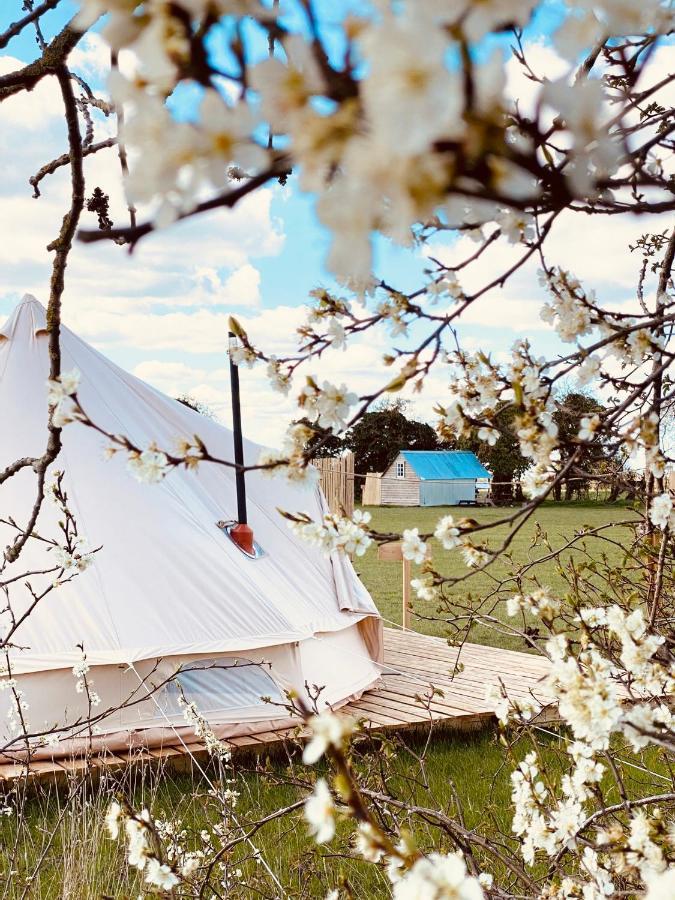 Fen Meadows Glamping - Luxury Cabins And Bell Tents Cambridge  Exterior photo