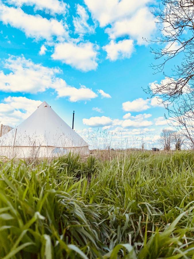 Fen Meadows Glamping - Luxury Cabins And Bell Tents Cambridge  Exterior photo
